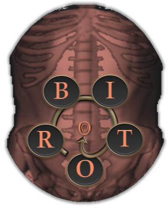 ORBIT to navel